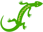 Noble Lizard - Colour